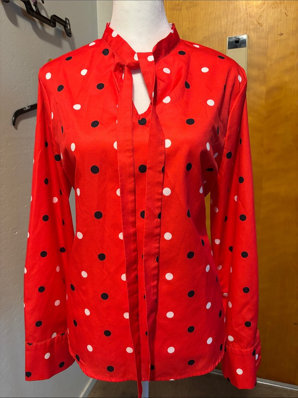 Red Polka Dot Tie-Neck Long-Sleeve Blouse